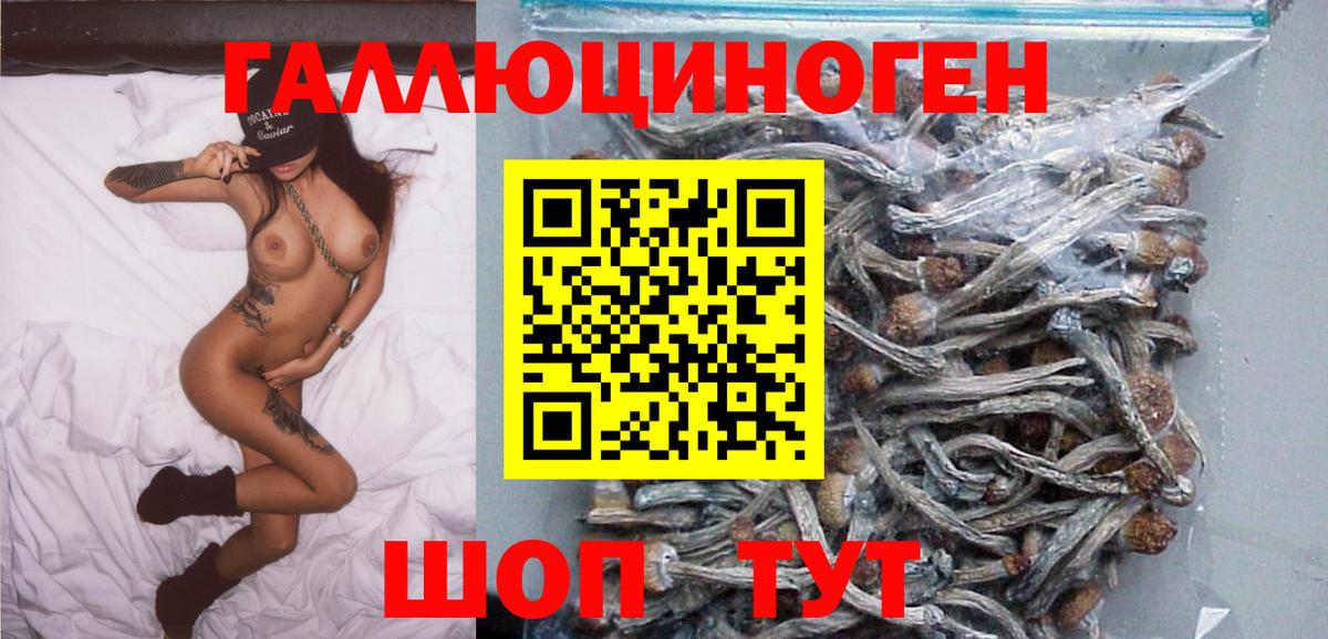 Псилоцибиновые грибы Psilocybine cubensis  Вход с VPN  Камышин 